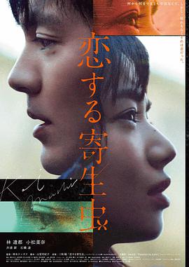 雾中回声